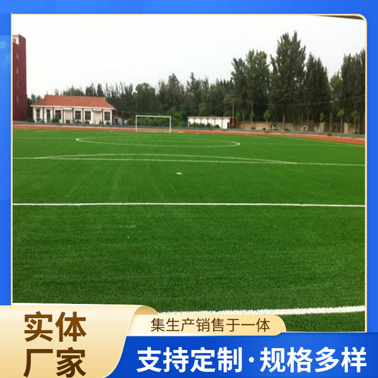 厦门市塑胶跑道材料人造草坪 - 排名